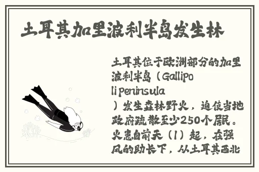 T1亚洲一区二区77